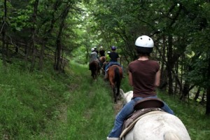 horseback11